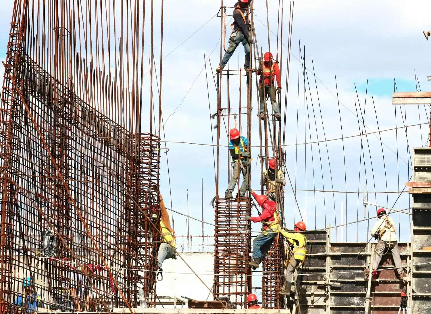 CSCS Card vs ESS Card - Which Construction Card Do You Need?